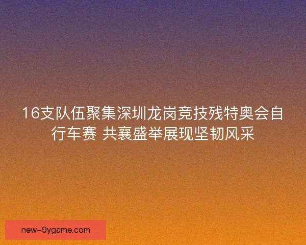 16支队伍聚集深圳龙岗竞技残特奥会自行车赛 共襄盛举展现坚韧风采